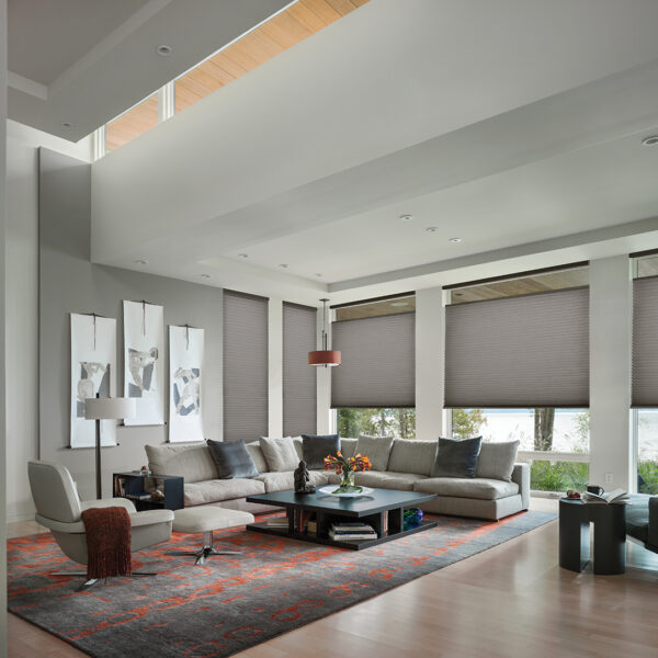 modern living room shades